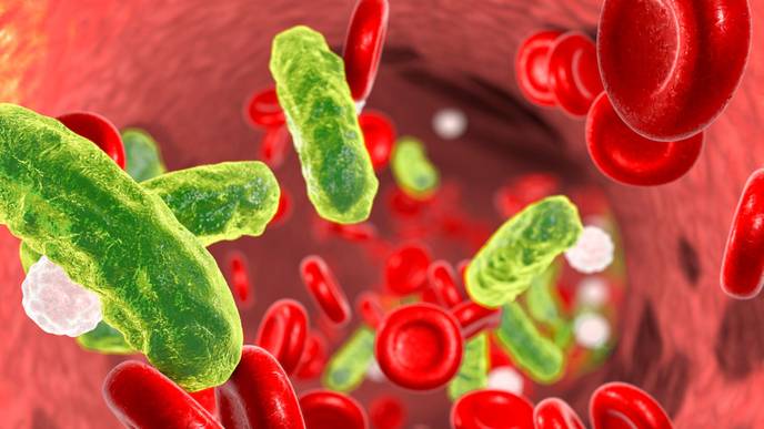 ReachMD Healthcare Image