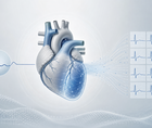 ECG AI Classifies LV Dysfunction and HFpEF