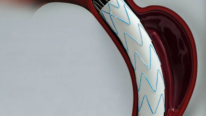 ReachMD Healthcare Image