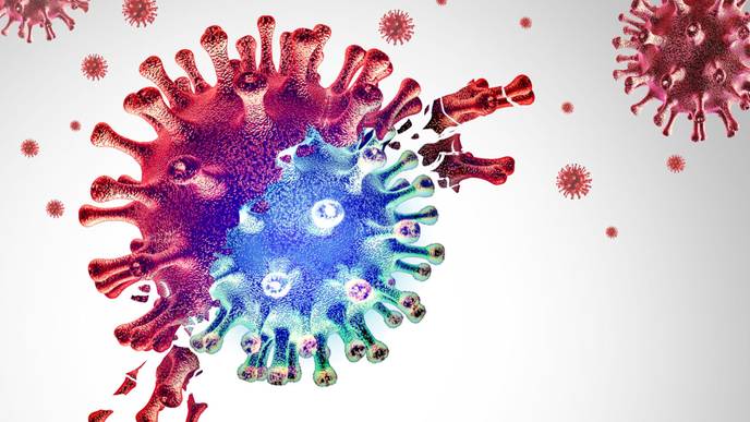 ReachMD Healthcare Image