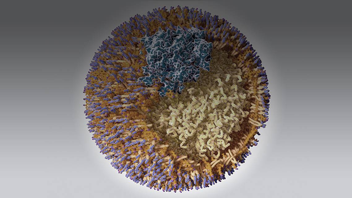 ReachMD Healthcare Image