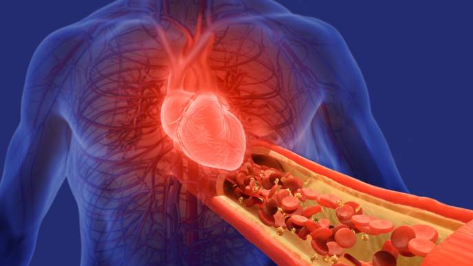 ReachMD Healthcare Image