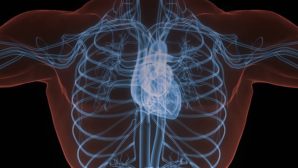 ReachMD Healthcare Image