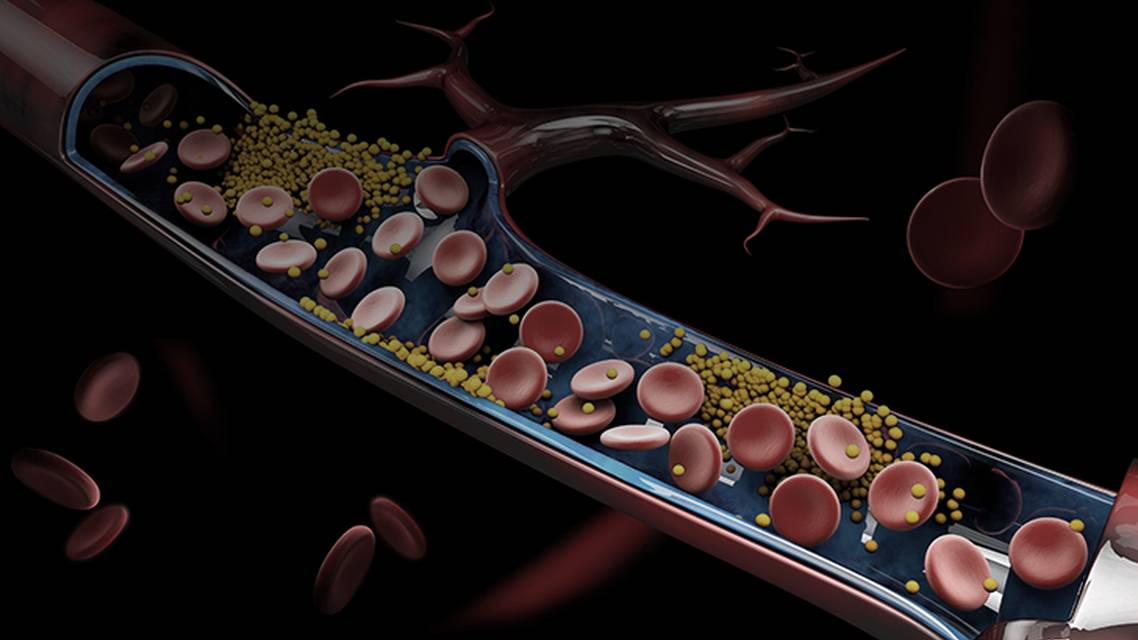 ReachMD Healthcare Image