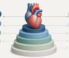 Commercial Cardiology Prices Varied Widely Across US Insurers