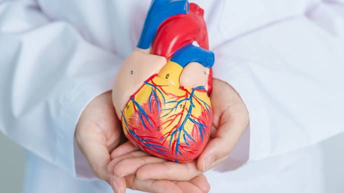 ReachMD Healthcare Image