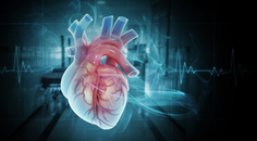 ReachMD Healthcare Image