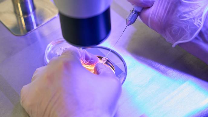 ReachMD Healthcare Image