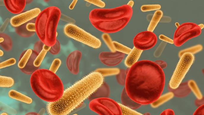 ReachMD Healthcare Image