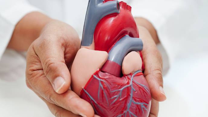 ReachMD Healthcare Image