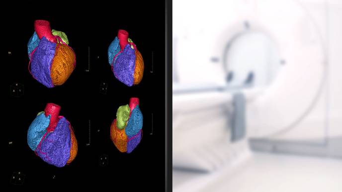 ReachMD Healthcare Image