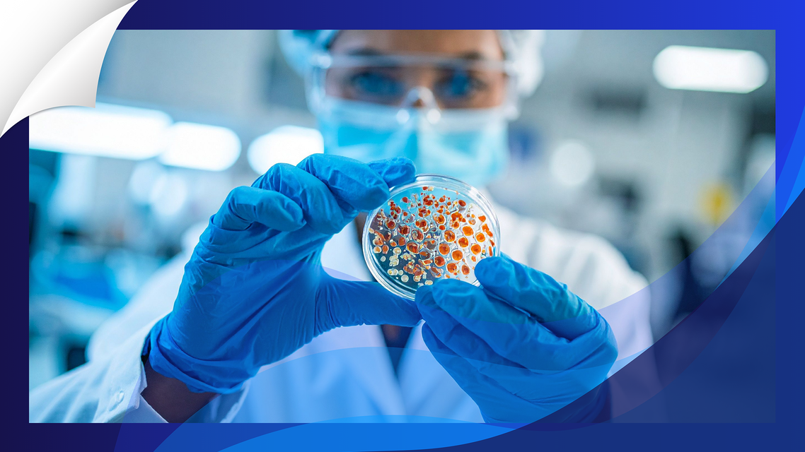 ReachMD Healthcare Image