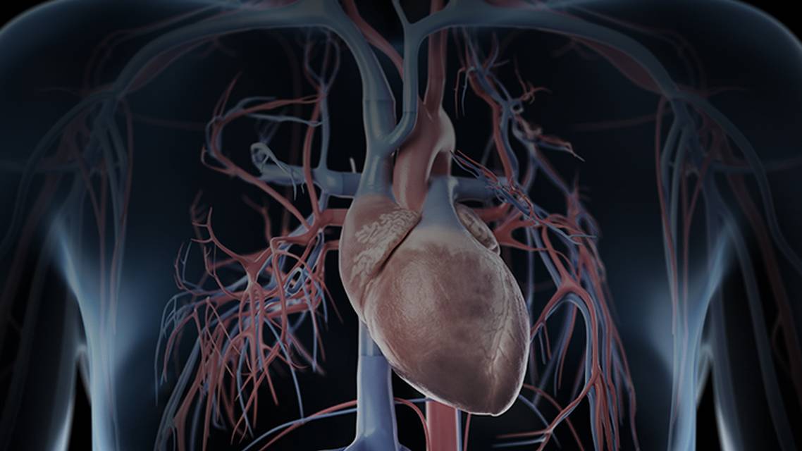 ReachMD Healthcare Image