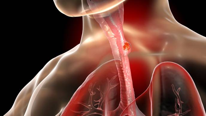 ReachMD Healthcare Image