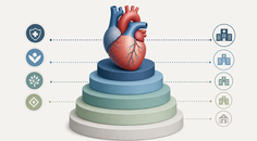 Commercial Cardiology Prices Varied Widely Across US Insurers