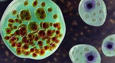 ReachMD Healthcare Image