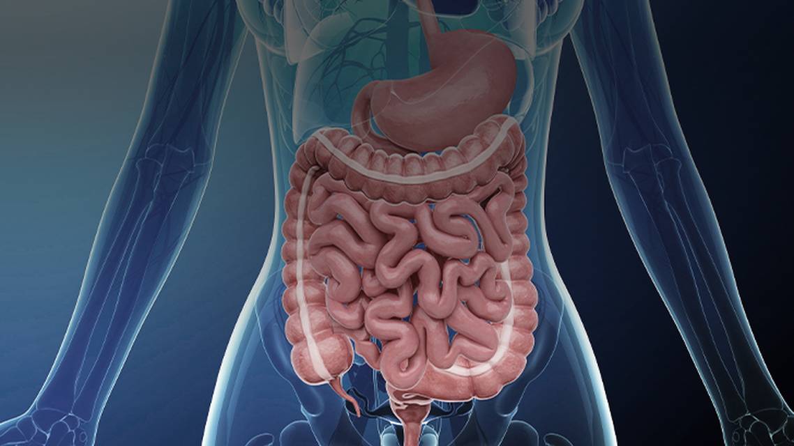 ReachMD Healthcare Image