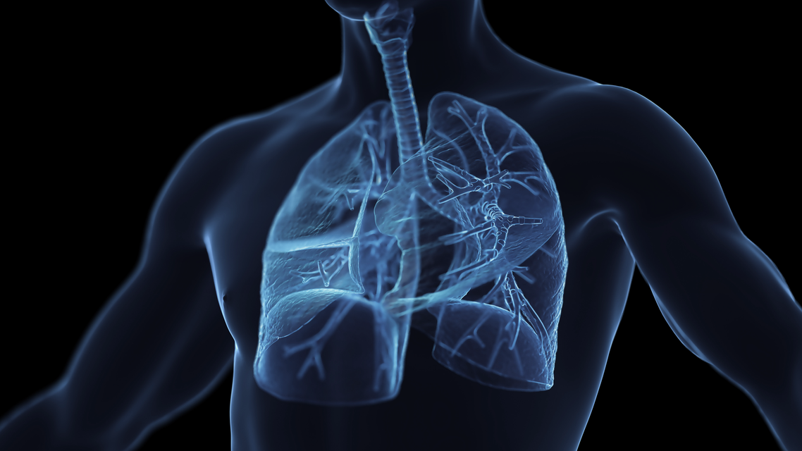 ReachMD Healthcare Image