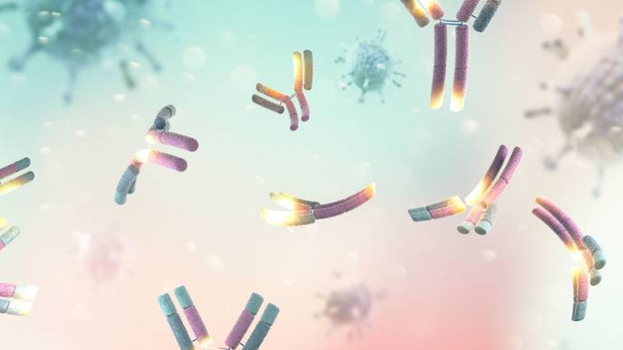 ReachMD Healthcare Image