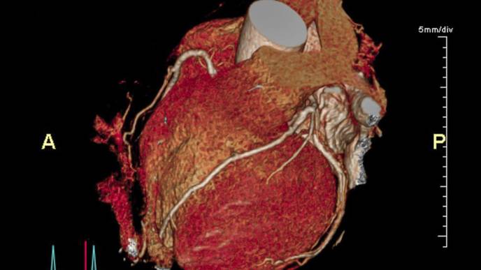 ReachMD Healthcare Image