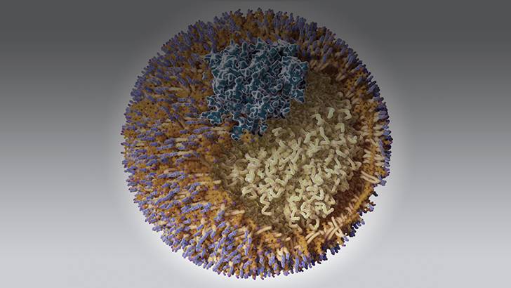 ReachMD Healthcare Image