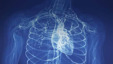 SGLT2 & Heart Failure: What You Need to Know