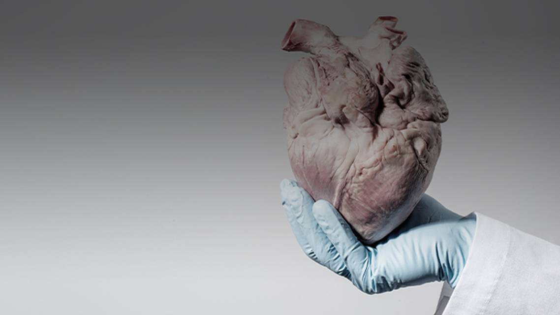 ReachMD Healthcare Image