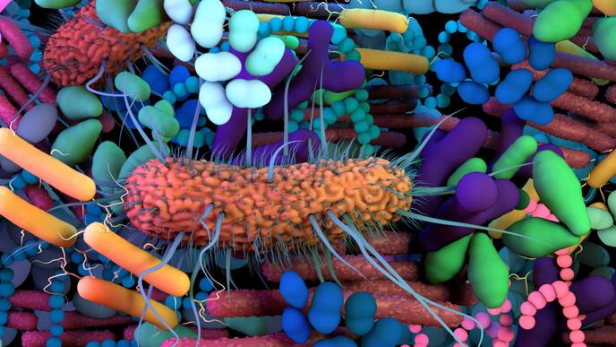 ReachMD Healthcare Image