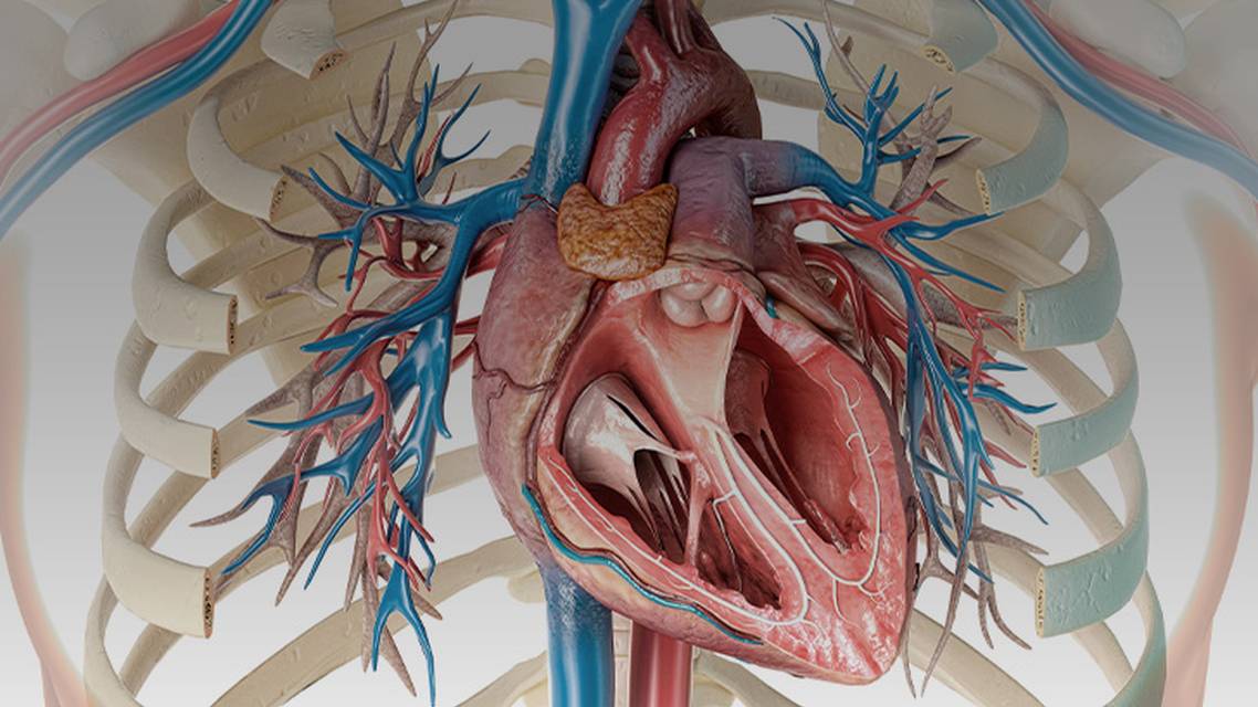 ReachMD Healthcare Image