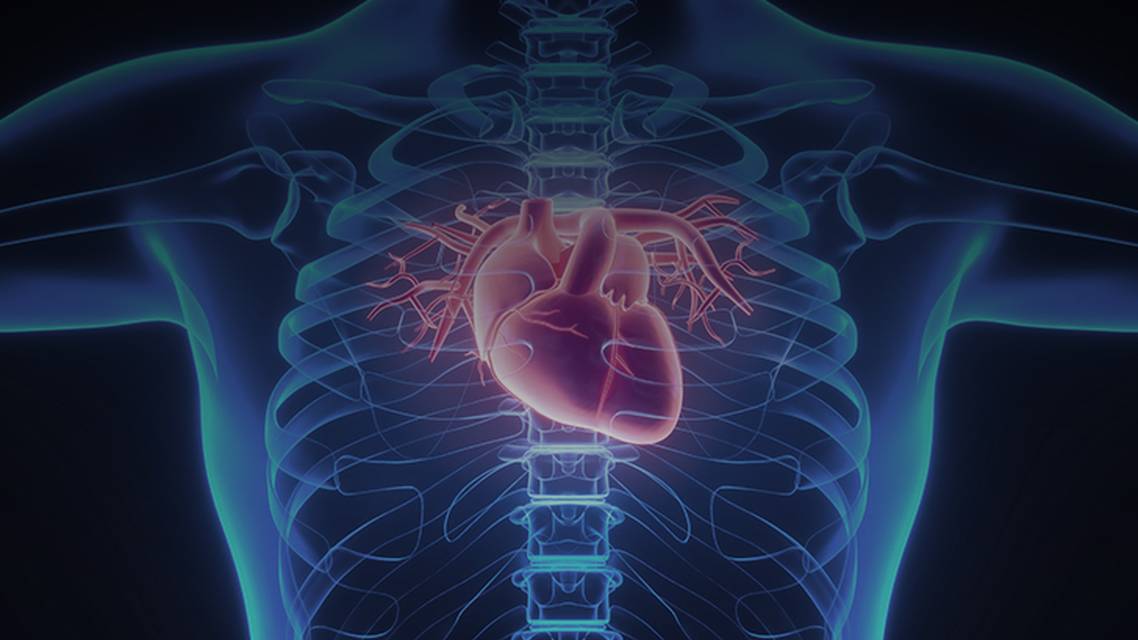 ReachMD Healthcare Image