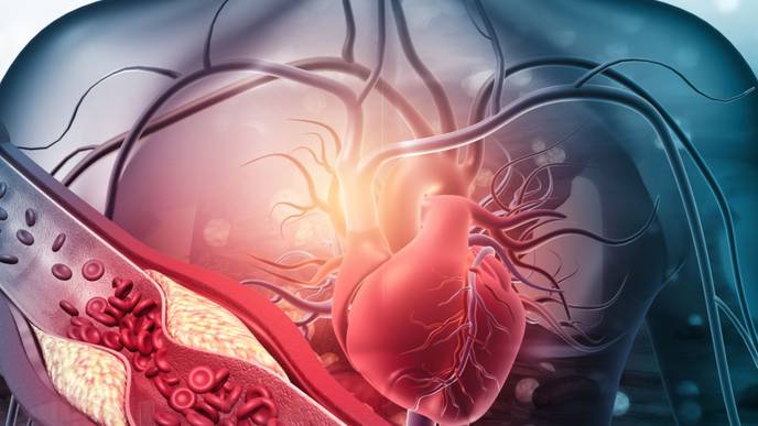 ReachMD Healthcare Image